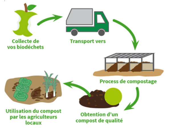 QUESTIONNAIRE SUR LA GESTION BIODÉCHETS