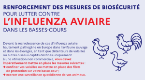 INFO INFLUENZA AVIAIRE 📢